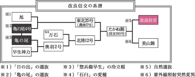 改良信交