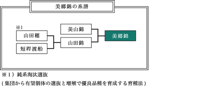 美郷錦