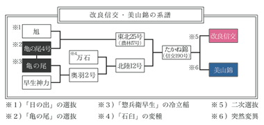 改良信交