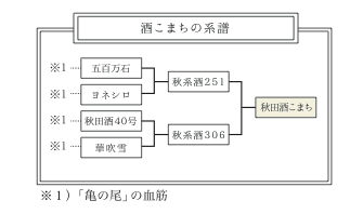 酒こまち